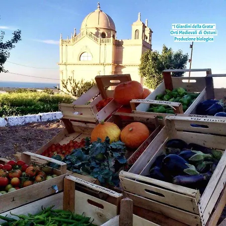 Salinola Ad * Ostuni